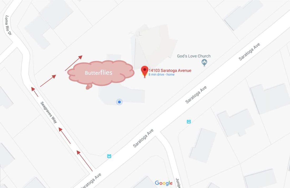 Map showing driving directions to Butterflies Academy via Seagraves Way